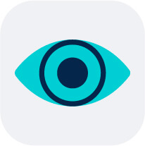 Sorce Brand Vision Icon